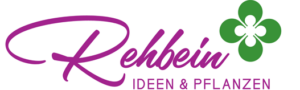 Blumen Rehbein - Blumengeschäft in Weinstadt Endersbach